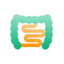 Gut Health